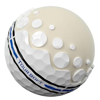 ゴルフボール　新品　Titleist 60球 タイトリスト NEW TRUFEEL ゴルフボールの通販 テレ東アトミック